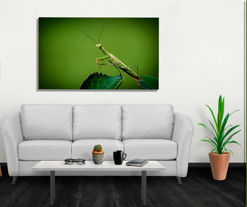 Cuadro Vanguardista Canvas  Mantis Religiosa En Verde 100x60