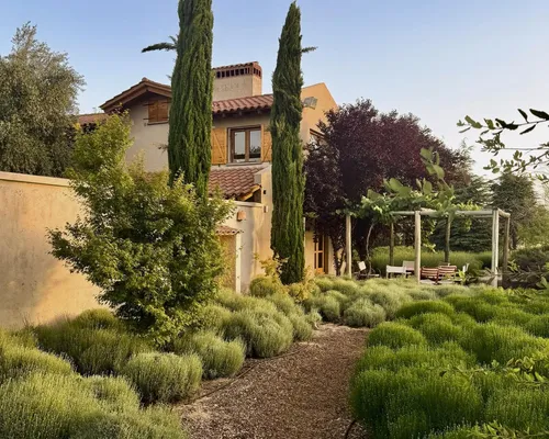 Finca En El Cepillo, 90 Hectareas, Valle Del Uco, Provincia De Mendoza