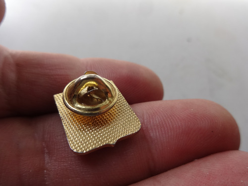 Pin Antiguo Coleccionable Chubut Sarmiento Escudo Arte Rupes (Usado)