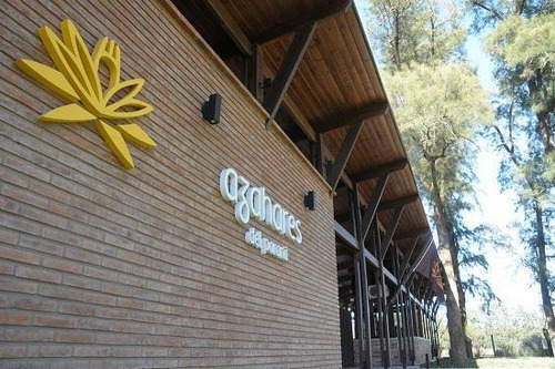 Imagen 2 de 12 de Importante Terreno En Fighiera