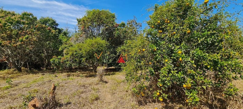 Imagem 9 de 15 de Chácara Para Venda Em Itatiaiuçu, Santa Terezinha - 70531_2-1238339