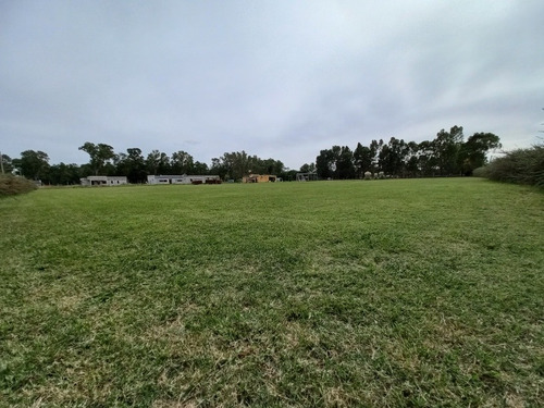 Imagen 4 de 12 de Terreno De Quinta