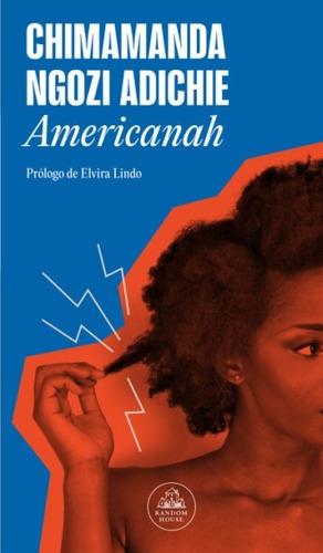 Americanah - Chimamanda Ngozi Adichie