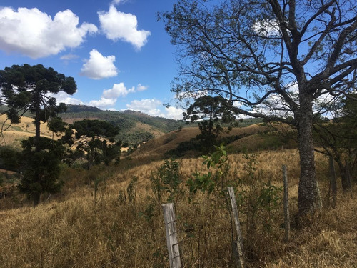 Imagem 10 de 24 de Chácara À Venda, 2800 M² Por R$ 80.000 - Zona Rural - Caldas/mg - Ch0126