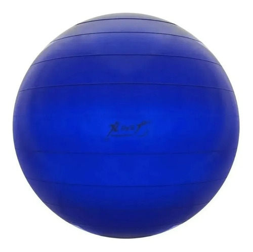 Imagen 6 de 8 de Pelota Esferodinamia De 65 / 70 / 75 / 85 Pilates Medicinal