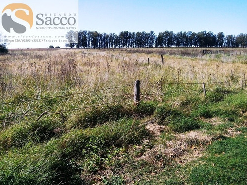 Chacra En Venta En Distrito De #trenquelauquen