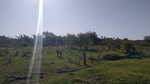 Imagen 12 de 13 de Vendo Urgente Campo 60 Hectáreas En Libertador Corrientes