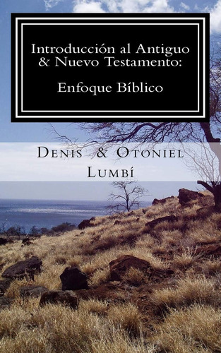 Libro Introducción Al Antiguo & Nuevo Testamento: Enfoque Bí