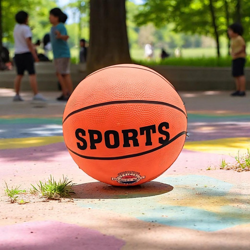 Pelota De Basquetbol Sports 35cm Resistente Deportes Balon