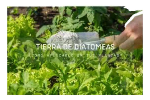 Tierra D Diatomea Adios Chinche Vaneadora Cultivos De Arroz 