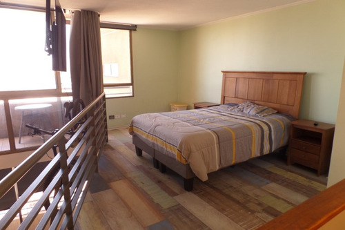 Loft Remodelado - Parque Ohiggins