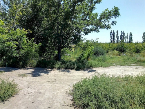 Imagen 20 de 25 de Venta De Finca 14 Ha En Producción - San Rafael Mendoza