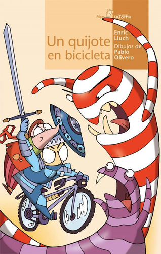 Libro - Un Quijote En Bicicleta 