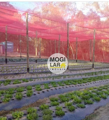 Imagem 6 de 7 de Chácara Com 2 Dormitórios À Venda, 24200 M² Por R$ 1.300.000,00 - Jardim Margarida - Mogi Das Cruzes/sp - Ch0005