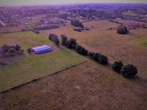 Terrenos O Lotes Venta Colonia