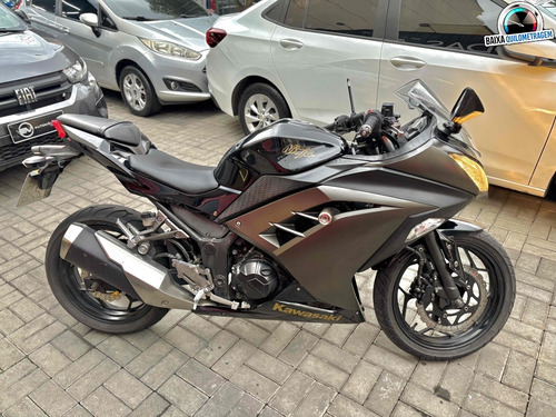 Kawasaki Ninja 300