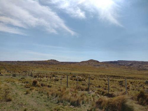Imagen 26 de 30 de Campo De 380 Ha En Venta Ambul Altas Cumbres Córdoba