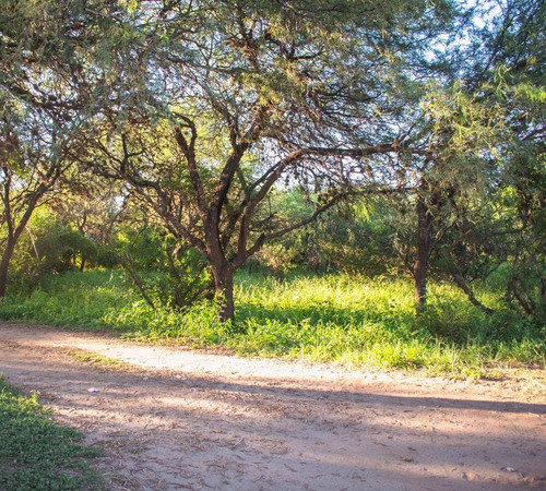 Lote En Venta De 2000m2 En Carpinteria, A 5 Min De Merlo, Sa