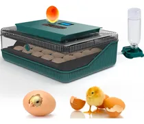 Comprar Heifriday Incubadoras Para Incubar Huevos De 25 Huevos Con G