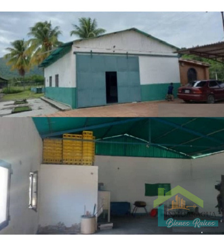 Granja Avícola En Venta/ San Francisco De Asís/ Yp1390