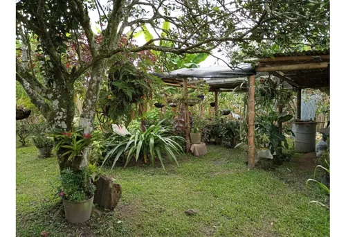 Se Vende Finca Montenegro Quindío