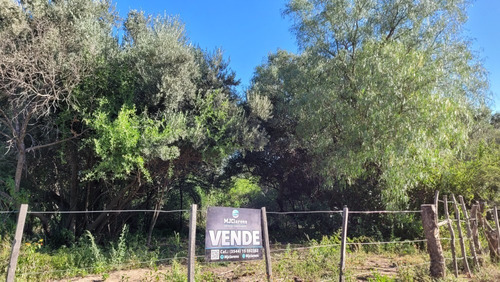 Imagen 26 de 27 de Oportunidad Hermoso Campo Productivo Las Tapias