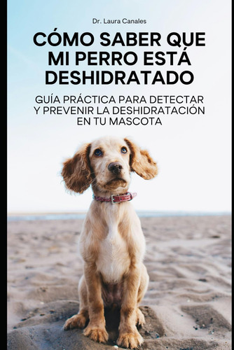 Cómo Saber Que Mi Perro Está Deshidratado: Guía Prácti 61rto