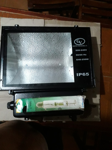 Reflector 250 Watt Corriente 220