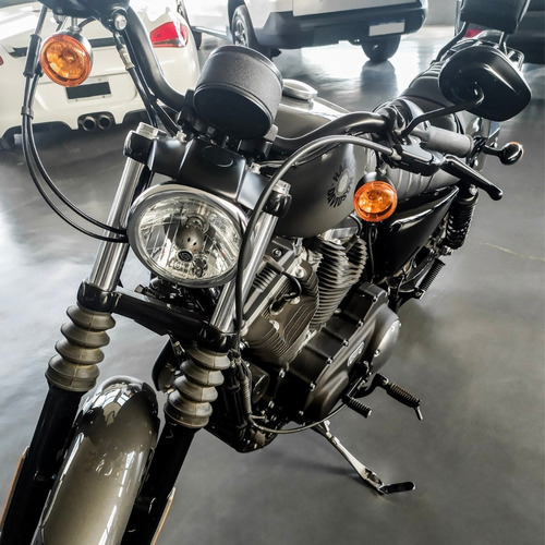 Imagen 1 de 20 de Harley Davidson Sporters Iron 883