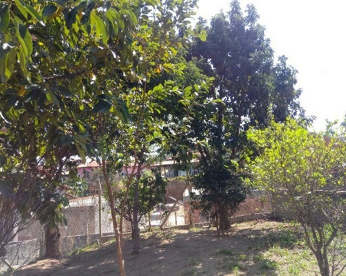 Imagem 7 de 30 de Chacara - Ch00213 - 69509504