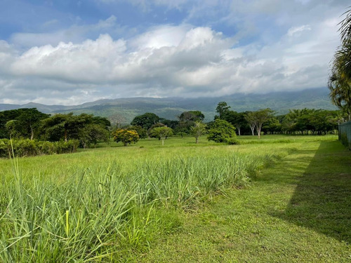 Imagen 14 de 14 de En Venta Terreno En Hato Royal