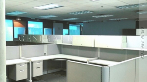 Imagen 5 de 8 de Oficina En Alquiler La Castellana 642 M2