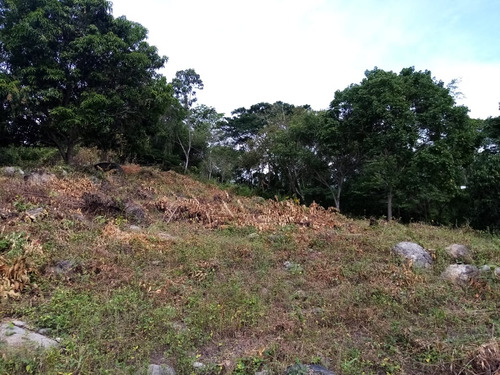 Vendo Lote Mesa De Yeguas - Cundinamarca