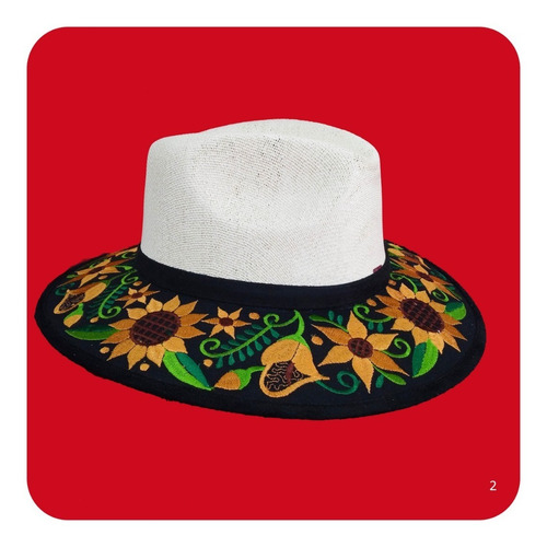 Imagen 6 de 9 de Elegante Sombrero Artesanal De Gamuza Bordado Mediano 1