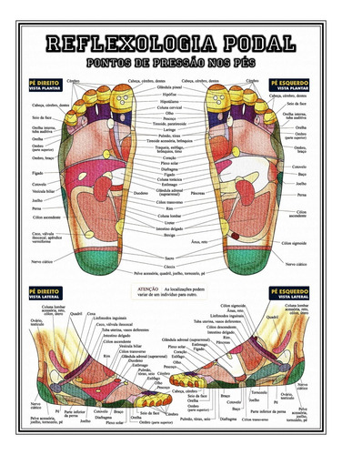 Poster Reflexologia Podal 60cmx80cm  Plastificado