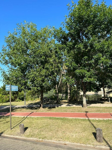 Imagen 4 de 7 de Terreno En Gualeguaychu