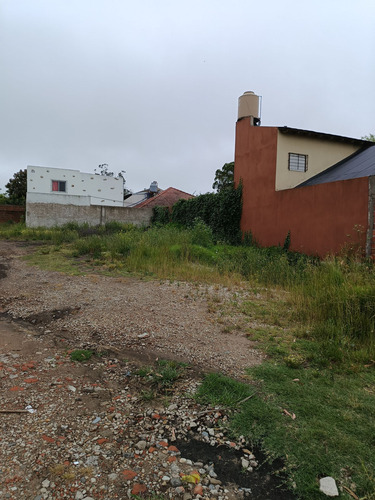 Venta Lote Mario Bravo Y Beltrami