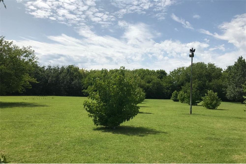 Imagen 19 de 24 de Lotes En Venta Barrio Perimetrado Villa Elisa