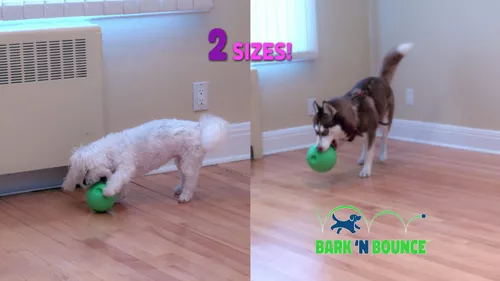 Bark N Bounce: La Pelota Interactiva De Juguete Para Perros.