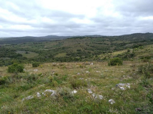 Campo En Venta