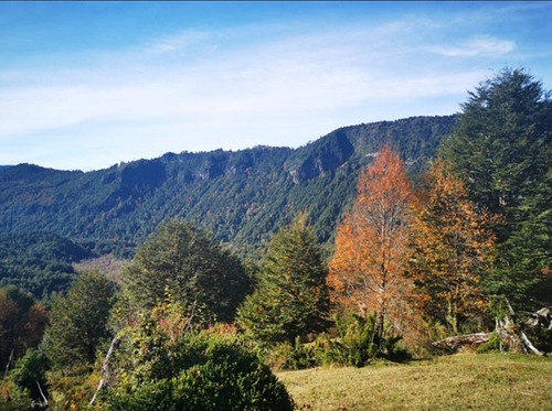 Vendo Parcela 5000m2 En Rinconada De Pucon Curarrehue