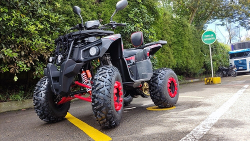 Imagen 9 de 15 de Cuatrimoto Boss 250cc