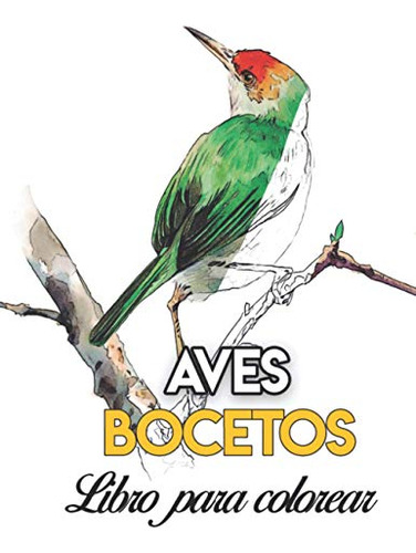 Aves Libro Para Colorear: Libro De Dibujos Para Pintar Acuar