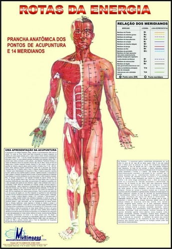 Mapa Rotas De Energia Acupuntura 120 X 90 Cm
