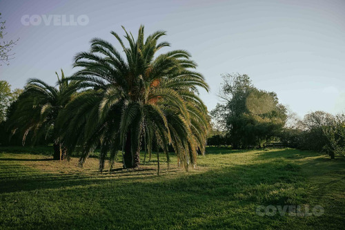 Estancia Con Casco Principal Campo Agrícola 200 Ha En Venta Carmelo Colonia Uruguay