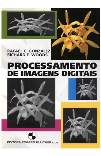 Livro - Processamento De Imagens Digitais