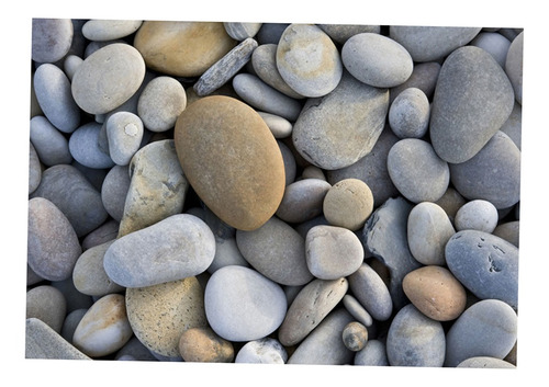 Fondo Vivo De La Piedra Del Acuario Pegatina Adhesivo De La Fondo Vivo De La Piedra Del Acuario Pegatina Adhesivo De La