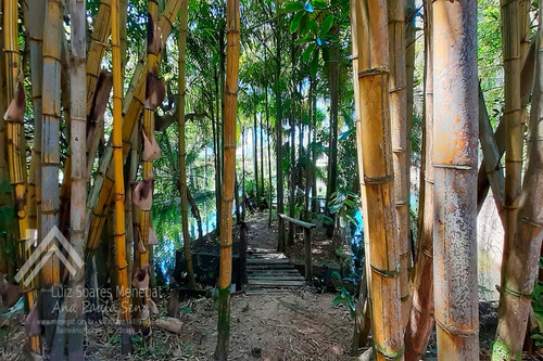 Imagem 28 de 30 de O Paraíso No Balneário Rincão !! Sítio A Beira Da Lagoa Dos Esteves !! - Br275 - 69284191