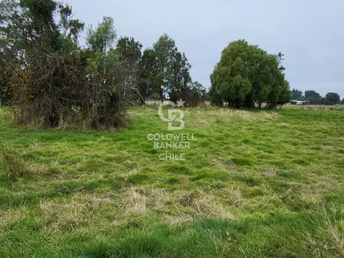 Parcela En Frutillar: Naturaleza Y Conectividad