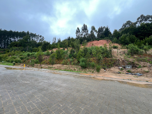 Vendo Terreno En Exclusivo Condominio En Pingueral, Comuna D